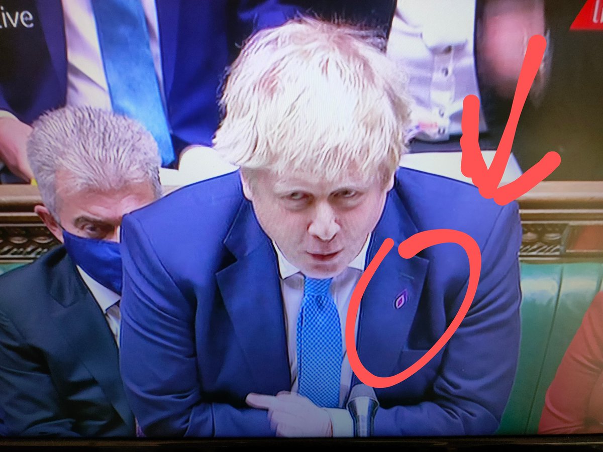 Irelandherown's tweet photo. Boris Johnson proudly displaying his Easter Lily in Westminster today. Obviously he's calculated that coming out now as an avowed Irish Republican will prove the perfect distraction π#pmquestiontime https://t.co/CaTnePPQBo