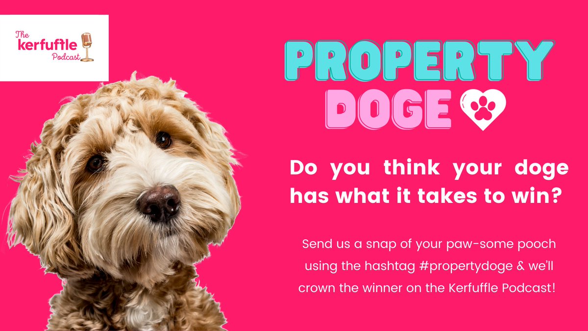 🐶 🐾 𝘾𝙊𝙈𝙋𝙀𝙏𝙄𝙏𝙄𝙊𝙉 𝙏𝙄𝙈𝙀! 🐶 🐾 If you think your doge has what it takes to win ‘Best Property Doge’, then send us a snap of your paw-some pooch using the hashtag #propertydoge🐩
Entries will be added to our gallery here: bit.ly/3H2MZil

#kerfuffleit