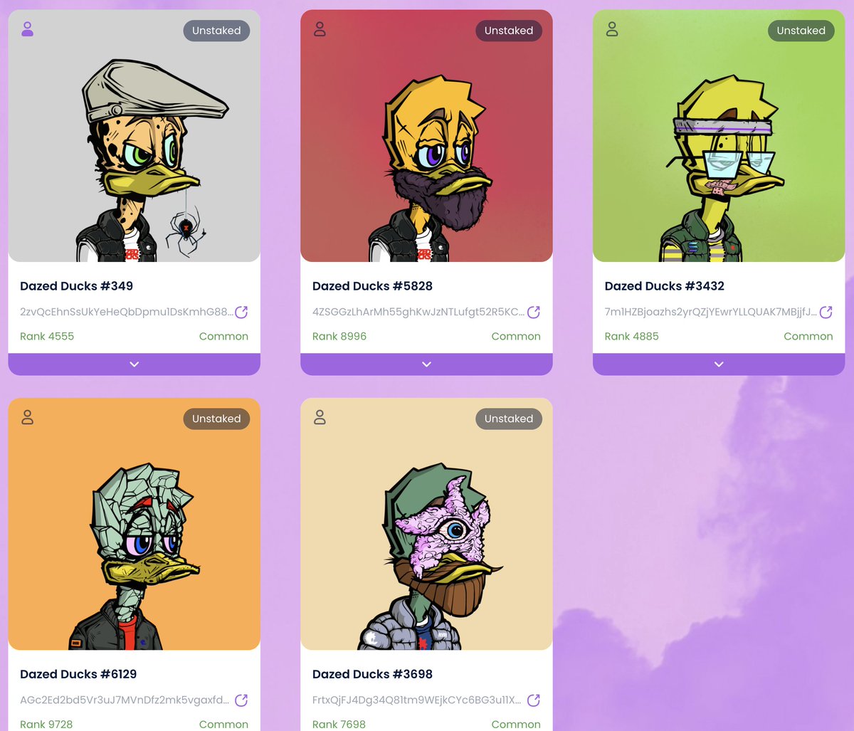 🚨 GOOD MORNING FAMILY ☀️
~What a day to be an ape 🦍
<a href="/StonedApeCrew/">Stoned Ape Crew</a>
 ~What a day to be a duck 🦆
<a href="/DazedDuck/">Misty Allen</a> 
+ P.S. ducks are still UNDERVALUED....buying under 10 sol -Thank me later (drake voice)!
         Peace and love 🤌🌬️