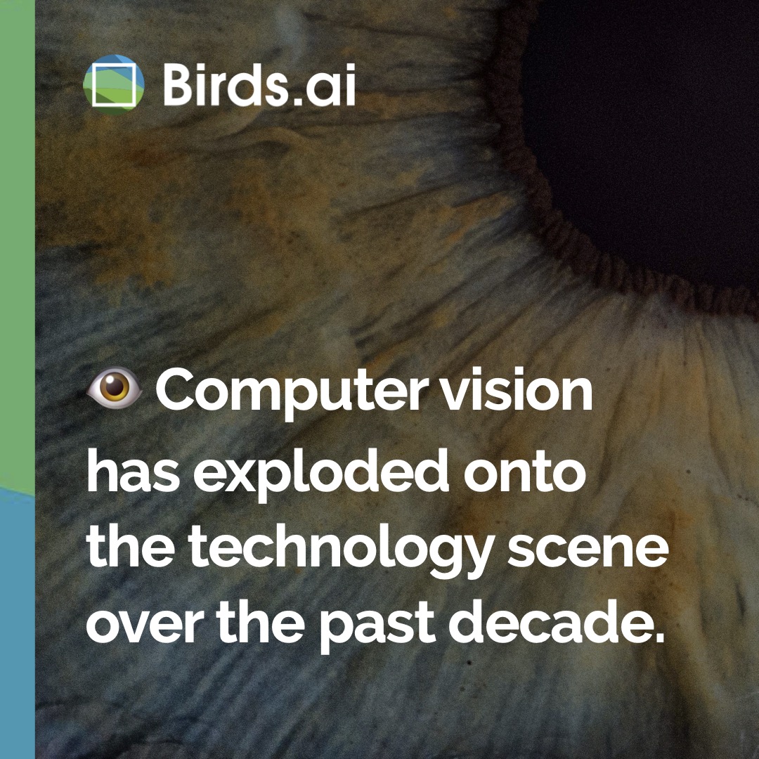 Birds.ai tweet media