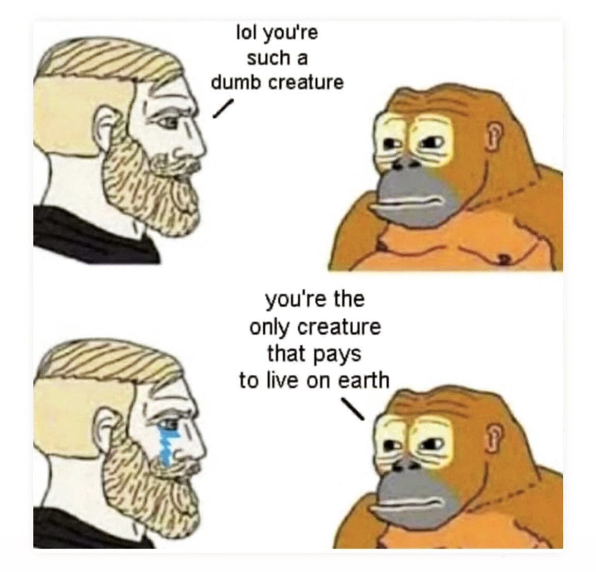 Naiha Imran (@naiha_imran) on Twitter photo 