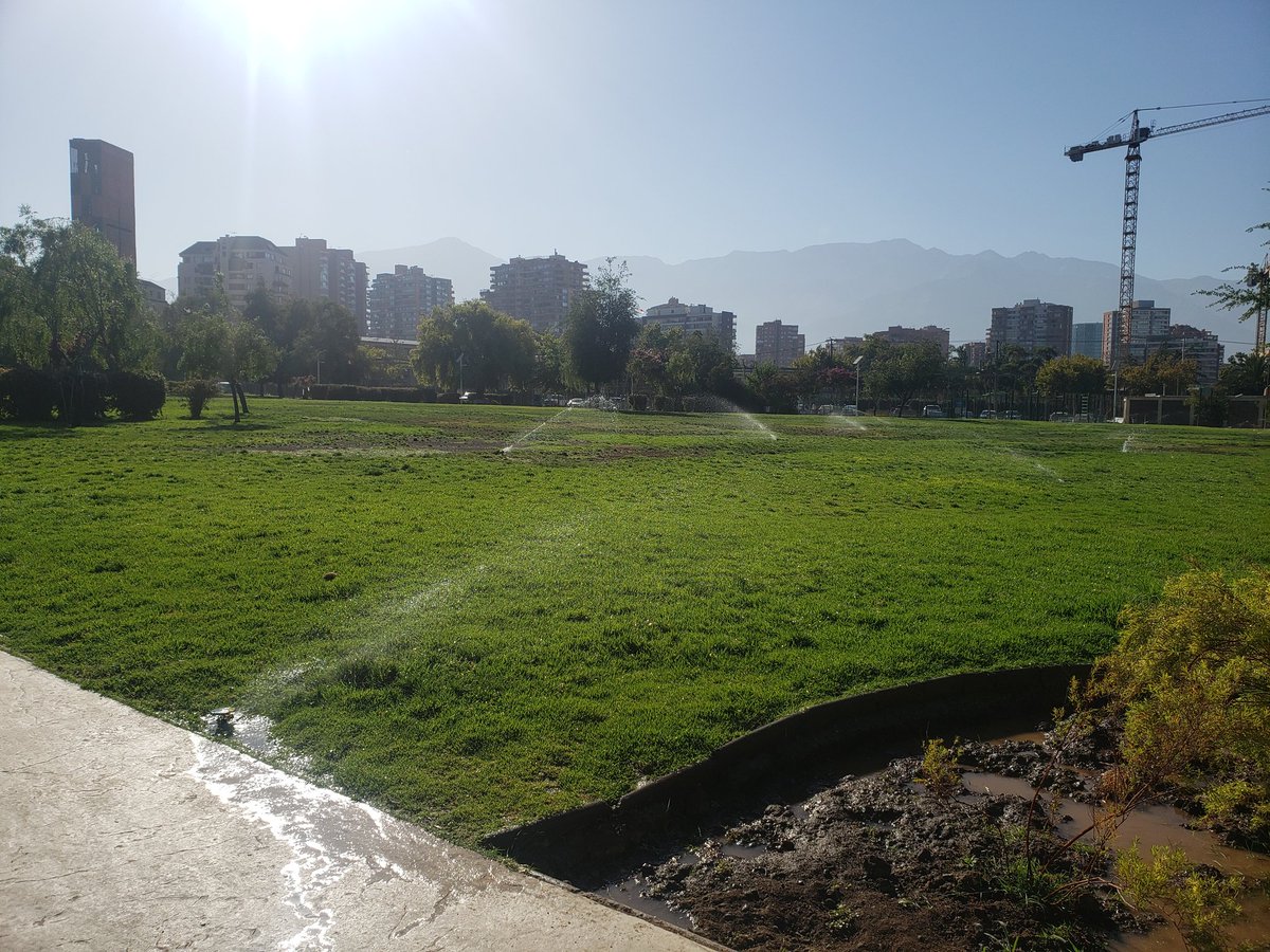 81Francia's tweet photo. Hasta cuándo alcaldesa @danielapenaloza  este panorama en el parque araucano!!!???? Riegos durante la mañana???? Insólito https://t.co/wda4b37BWS