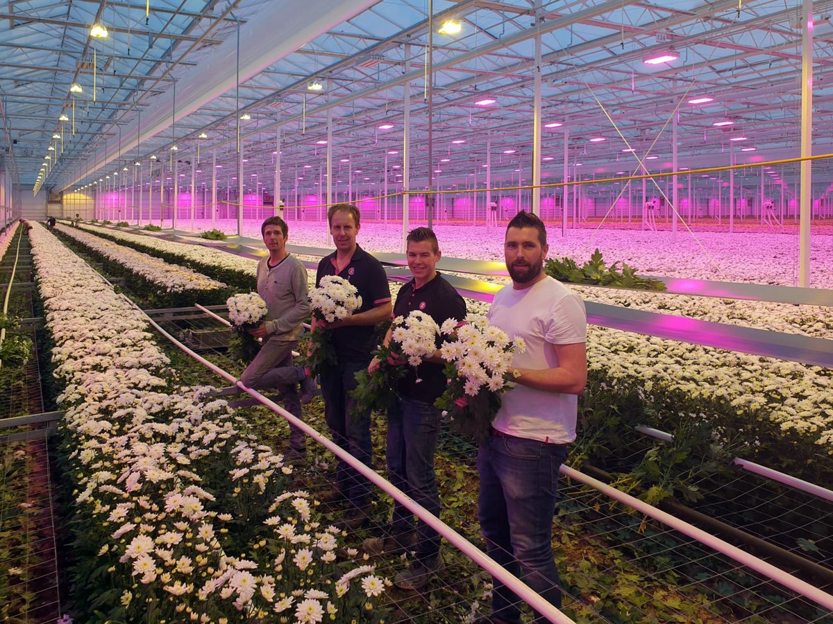 Trots op onze eerste oogst!🌱 Vanmorgen was het tijd voor de eerste oogst in de nieuwe kas van U GRAND 🥳 Hier hebben onze kwekers de afgelopen maanden hard voor gewerkt. De eerste Pina Colada's zijn inmiddels onderweg!