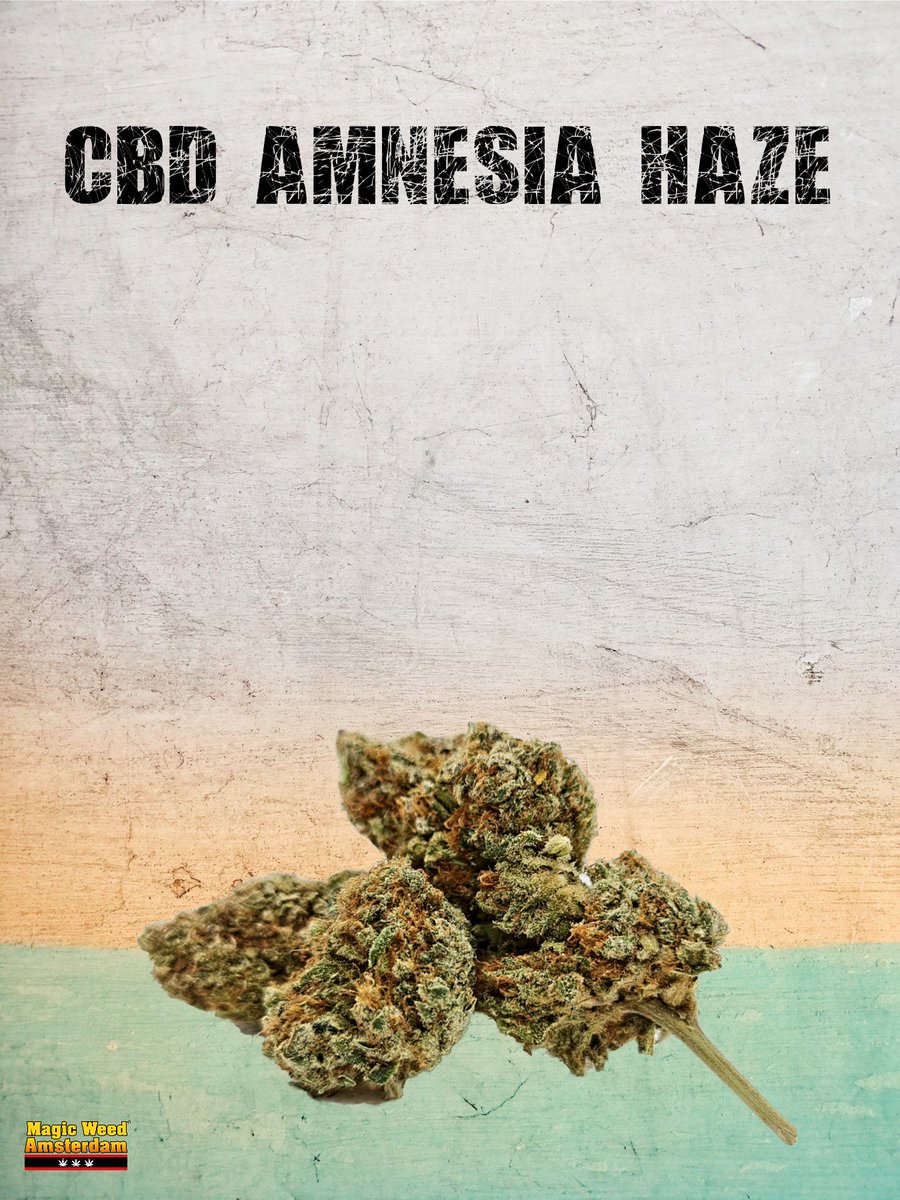 magic_weed_amst's tweet photo. #CBD AMNESIA HAZE - #PREMIUMQUALITY 
DISCOVER NOW ON
https://t.co/bySOCJwDaQ 
https://t.co/sSvzBJu9ib 

#cbdproducts #Amsterdam  #CannabisCommunity #cannabisindustry #cannabidiol https://t.co/VS5CYGVuGr