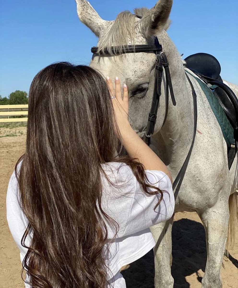 ثقيلة الممشى .. 
وتجمح لو تشوف ظلالها 🐎