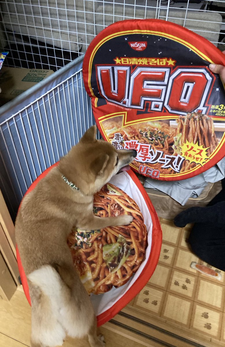 当選品 ペットベッド 日清 UFO 焼そば