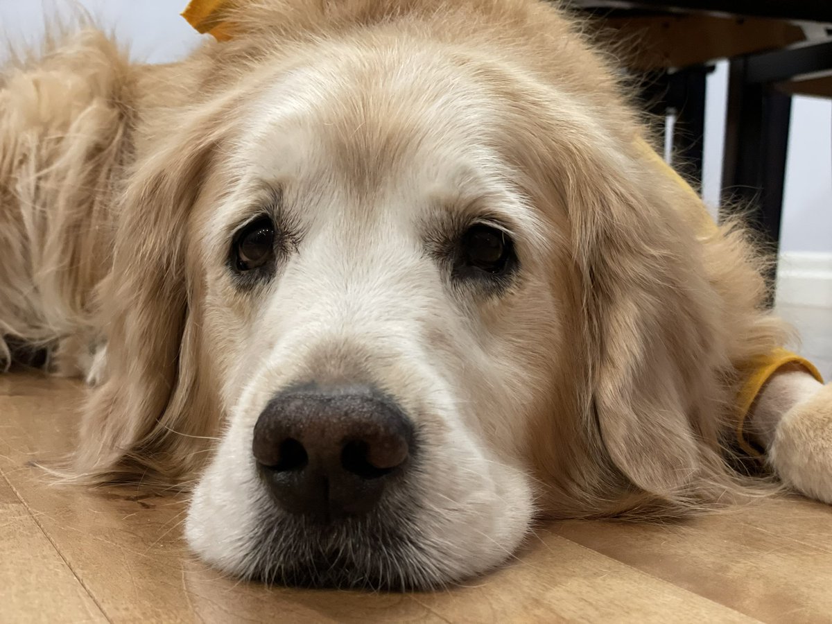 lynn2wine's tweet photo. It’s okay to feel down❤️
It’s okay to make mistakes❤️
It’s okay to have bad days❤️
It’s okay to be less than perfect❤️
It’s ok to be yourself❤️
You don’t have to struggle in silence❤️
We’re here to listen❤️
Sending love and strength to all of you
#BellLetsTalk  #dogsoftwitter https://t.co/LgISQ2LuWr
