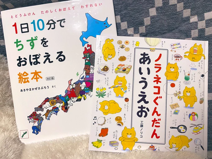 息子が自分で読む本用の本を寝室に置いてきた。寝ないのを強みにして沢山読んで😂 