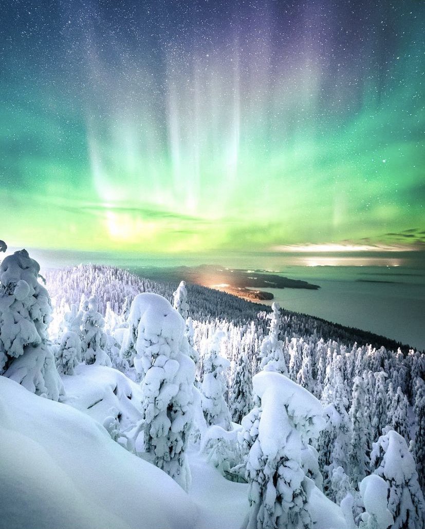 thisisFINLAND's tweet photo. MT @earthcurated: Arctic Nights, #Finland ✨ https://t.co/PqhAut3SqD