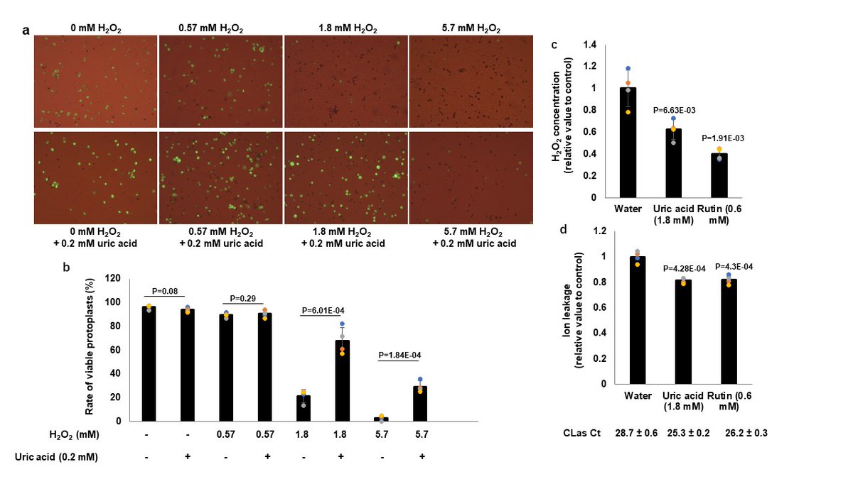 Our article "Citrus Huanglongbing is a pathogen-triggered immune disease that can be mitigated with antioxidants and gibberellin" has been published online Nature Communications. rdcu.be/cFKbp