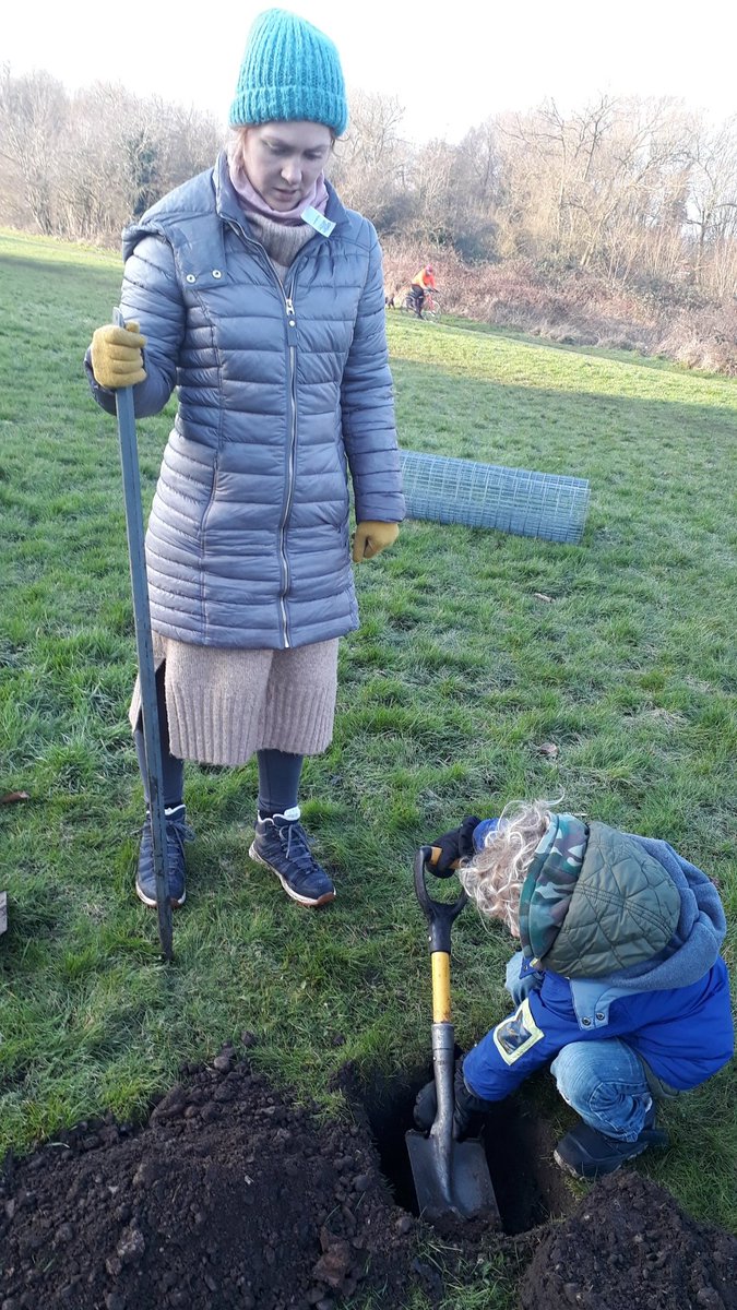 fruitnutvillage's tweet photo. Down on #BroadMeadowOrchard #TenAcres #Stirchley this morning. #PurplePershore #BettyGeeson #BeurreHardy. Grafted #MotherGardens trees. https://t.co/f1Tnm3qCaU