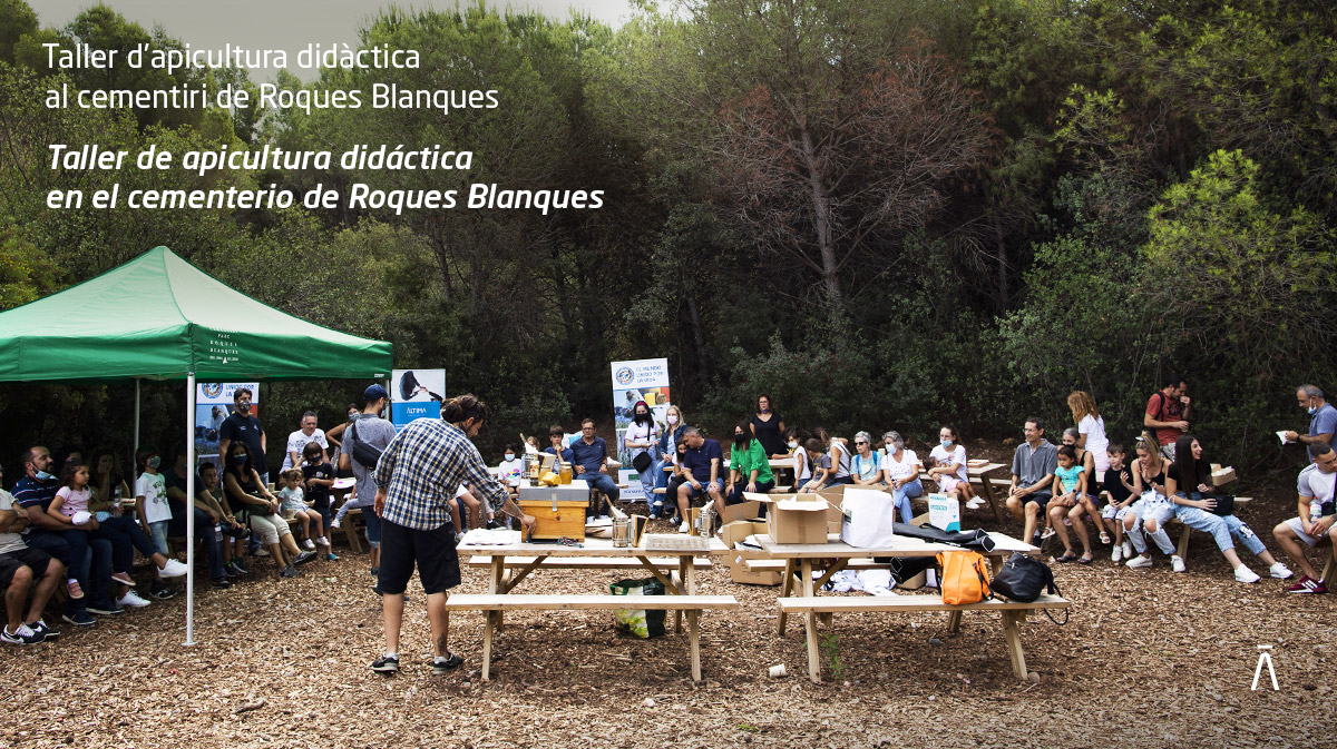AltimaSF's tweet photo. 🌍 Hoy es el Día Mundial de la Educación Ambiental, que quiere concienciar a la ciudadanía por la protección y la conservación del entorno. 🌿Desde #Áltima, contribuimos a ello a través de proyectos como el Apiario didáctico 👇
cc @parcncollserola @CCBaixLlobregat #Melvida https://t.co/h5V9J0l0hj