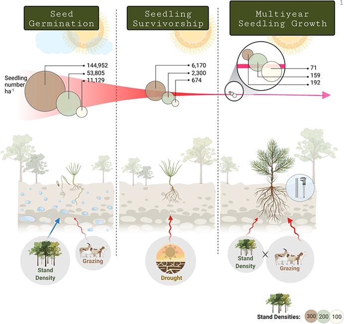 Earth & Planetary Sciences, Weizmann Institute tweet media