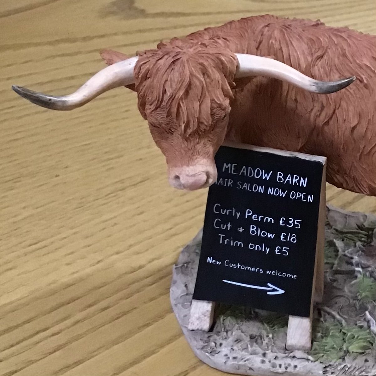 jamesherriot's tweet photo. Need a haircut!!!!
January SALE #sale #borderfinearts #jamesherriot 
https://t.co/EWma1KZMYE https://t.co/7y7JRNOI34
