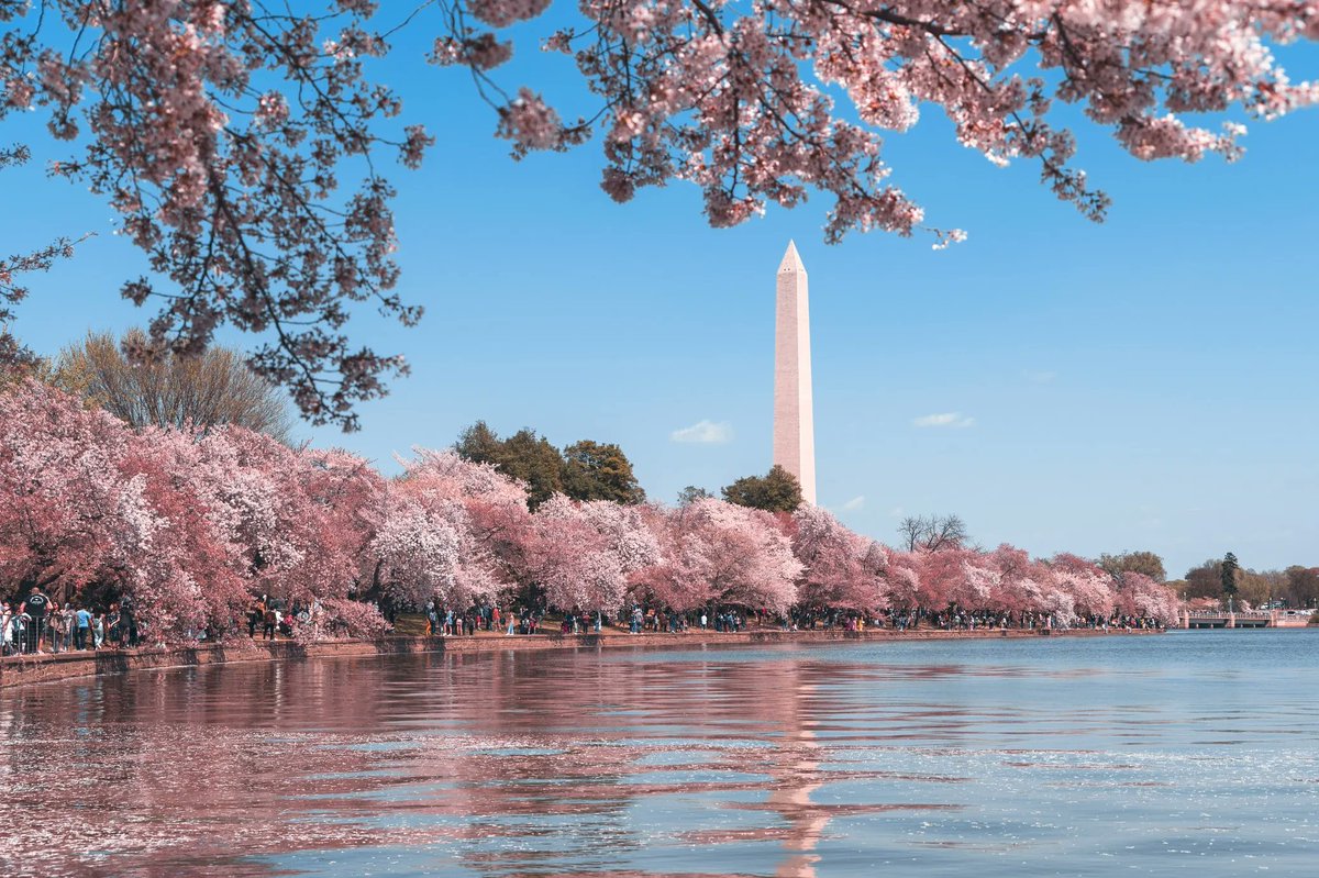 Alumni in the Washington, D.C. area are eager to get together &amp; to connect with student interns at The Washington Center. Are you interested in helping formalize this chapter? Now's your chance!
DATE: Wed., Feb. 9, 6:00-7:00pm
Register for the meeting ➡️ bit.ly/3GWm5Je