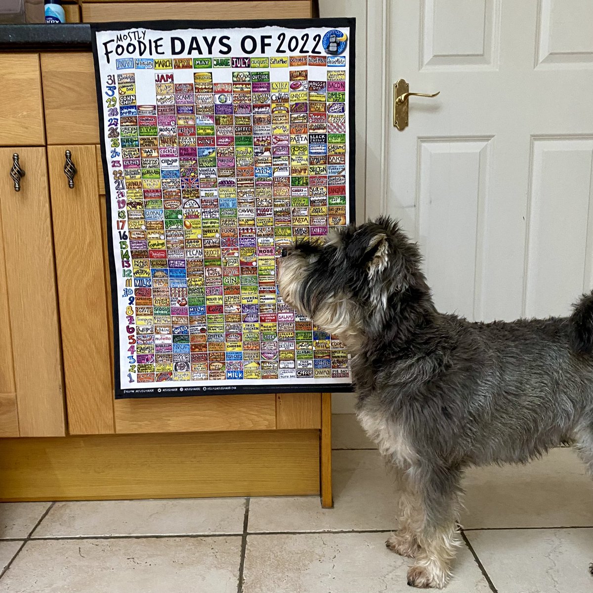 Susybee_'s tweet photo. I have mine… do you have yours? #MostlyFoodieDaysOf available at
https://t.co/vk42F1RPyv @mylegoman
Now which one is meaty bone day…?🐶 https://t.co/0jYlVSOram