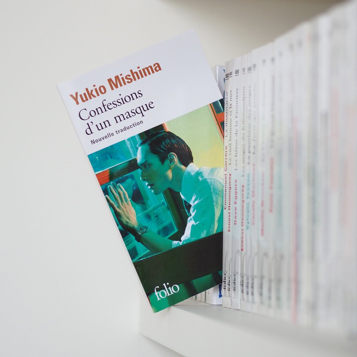 Doudou Matous Doudoumatous Twitter