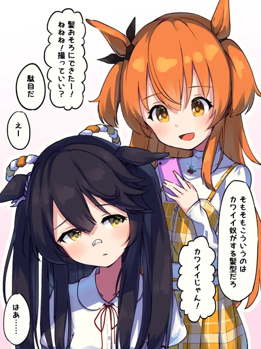 カワイイ二人。
#ウマ娘 #マヤノトップガン #ナリタブライアン 