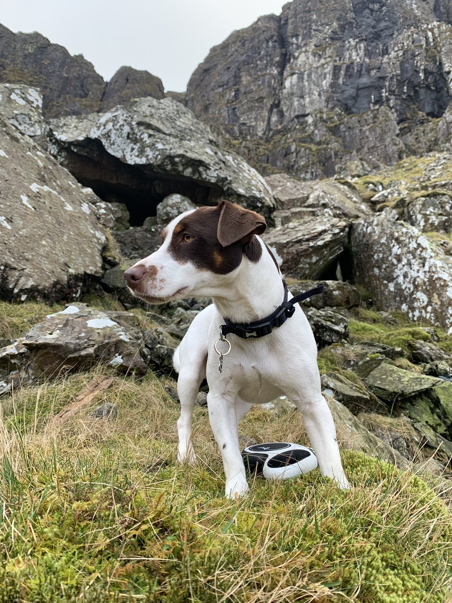 Commando Chef - MBE - tweet media