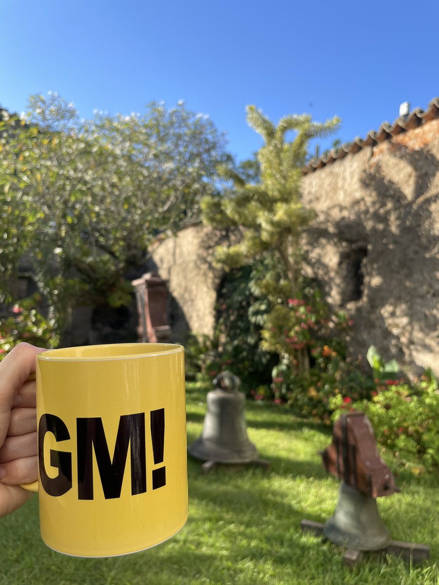 yaak_studio's tweet photo. Gm! ☕️⚔️ https://t.co/rA2kcrj8Ga