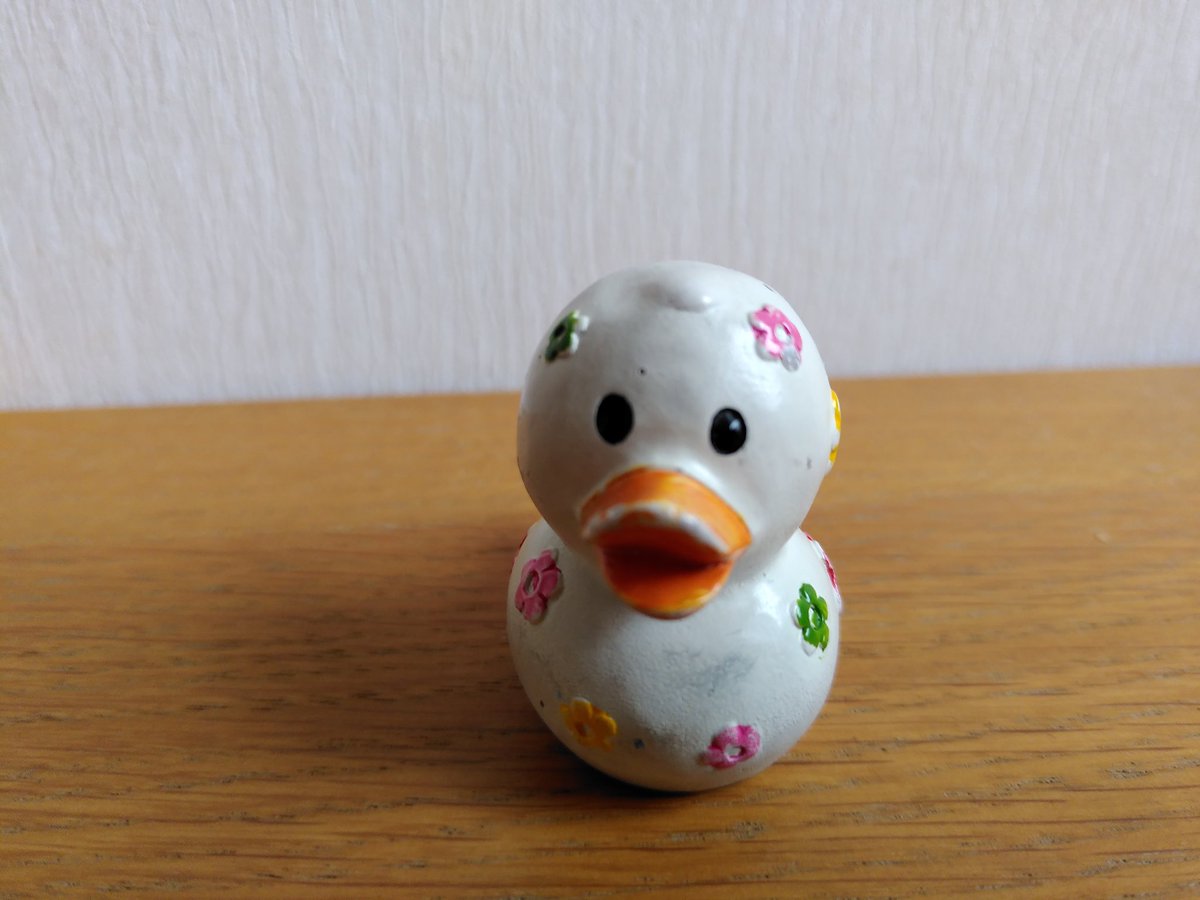 Kirstymill's tweet photo. @archaeostef @HGendersBoyd @CHERISHproj #Archaeoduck says hello to Puffy. He's always happy to meet another avian #archaeologist! https://t.co/h2zLsWBeOO