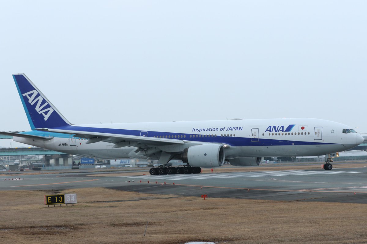 baku5656's tweet photo. 本日、福岡空港より早朝離陸したJA709A✈️
34エンドより。お疲れ様でした😭👋
1枚目、高山の買鳥🐥が背中に🤭撮っている時は気付かなかった😅
#JA709A
#B777
#ANA
#福岡空港 https://t.co/rbwNBry3nX