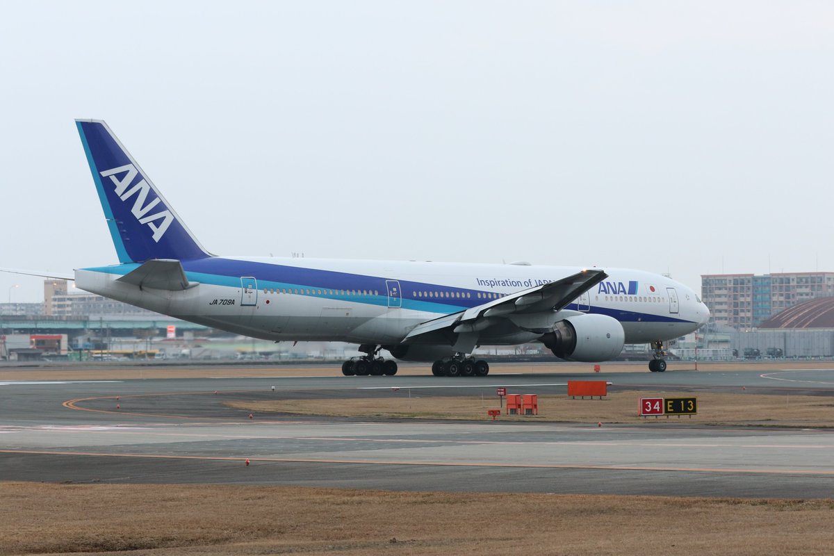 baku5656's tweet photo. 本日、福岡空港より早朝離陸したJA709A✈️
34エンドより。お疲れ様でした😭👋
1枚目、高山の買鳥🐥が背中に🤭撮っている時は気付かなかった😅
#JA709A
#B777
#ANA
#福岡空港 https://t.co/rbwNBry3nX
