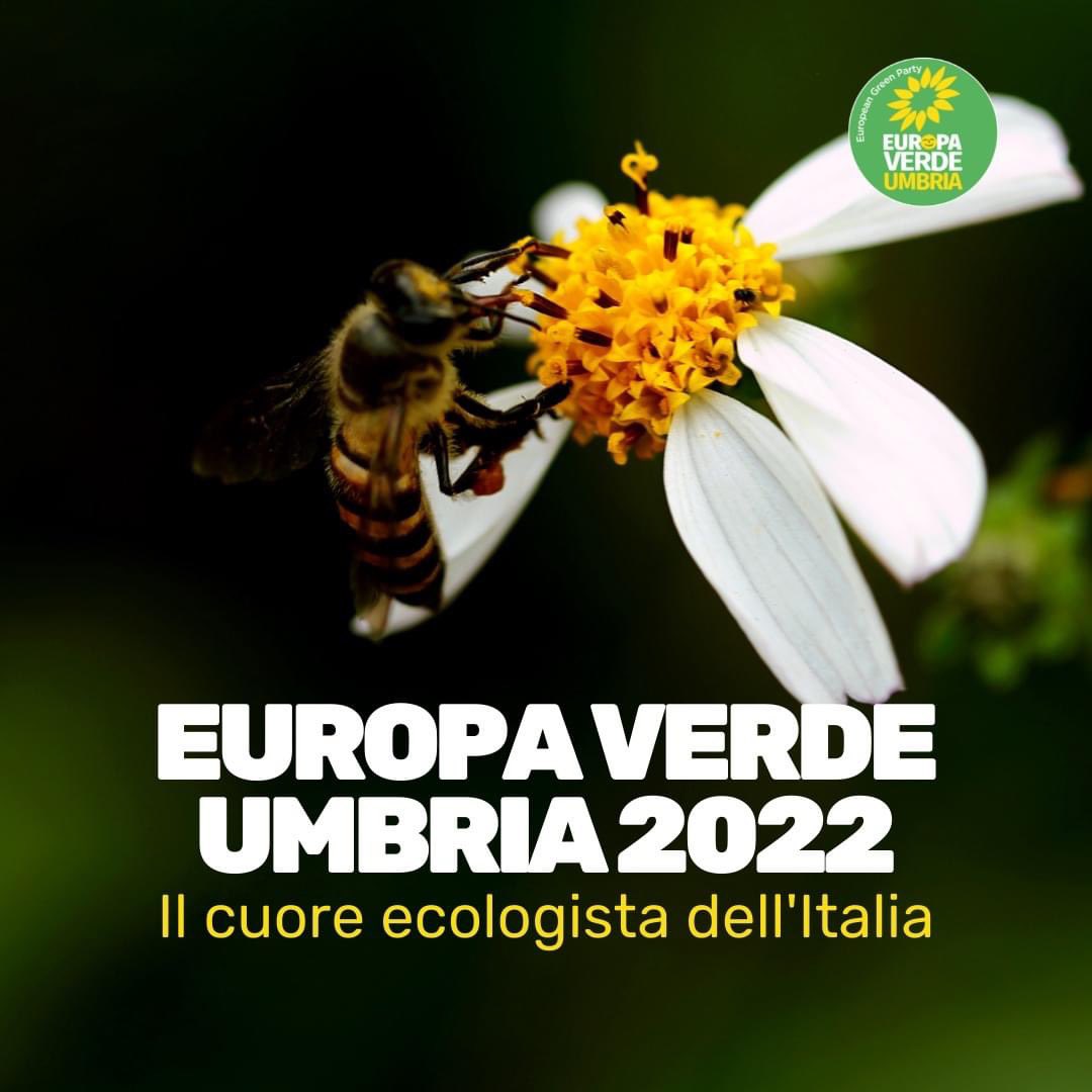 EVUmbria's tweet photo. Visita il sito https://t.co/VUIZgX8j2J e leggi la nostra mozione programmatica! 🌱🐝

#europaverdeumbria 
#europaverde 
#verdi https://t.co/M7YNUU5OlF