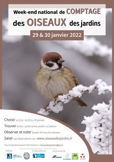 🐦📅Ce week-end, c’est le comptage national #Oiseauxdesjardins !
Pendant 1h samedi 29 ou dimanche 30 janvier, comptez tous les #oiseaux qui se posent dans votre #jardin, sur votre balcon ou dans un parc public. Les instructions⤵️
oiseauxdesjardins.fr.