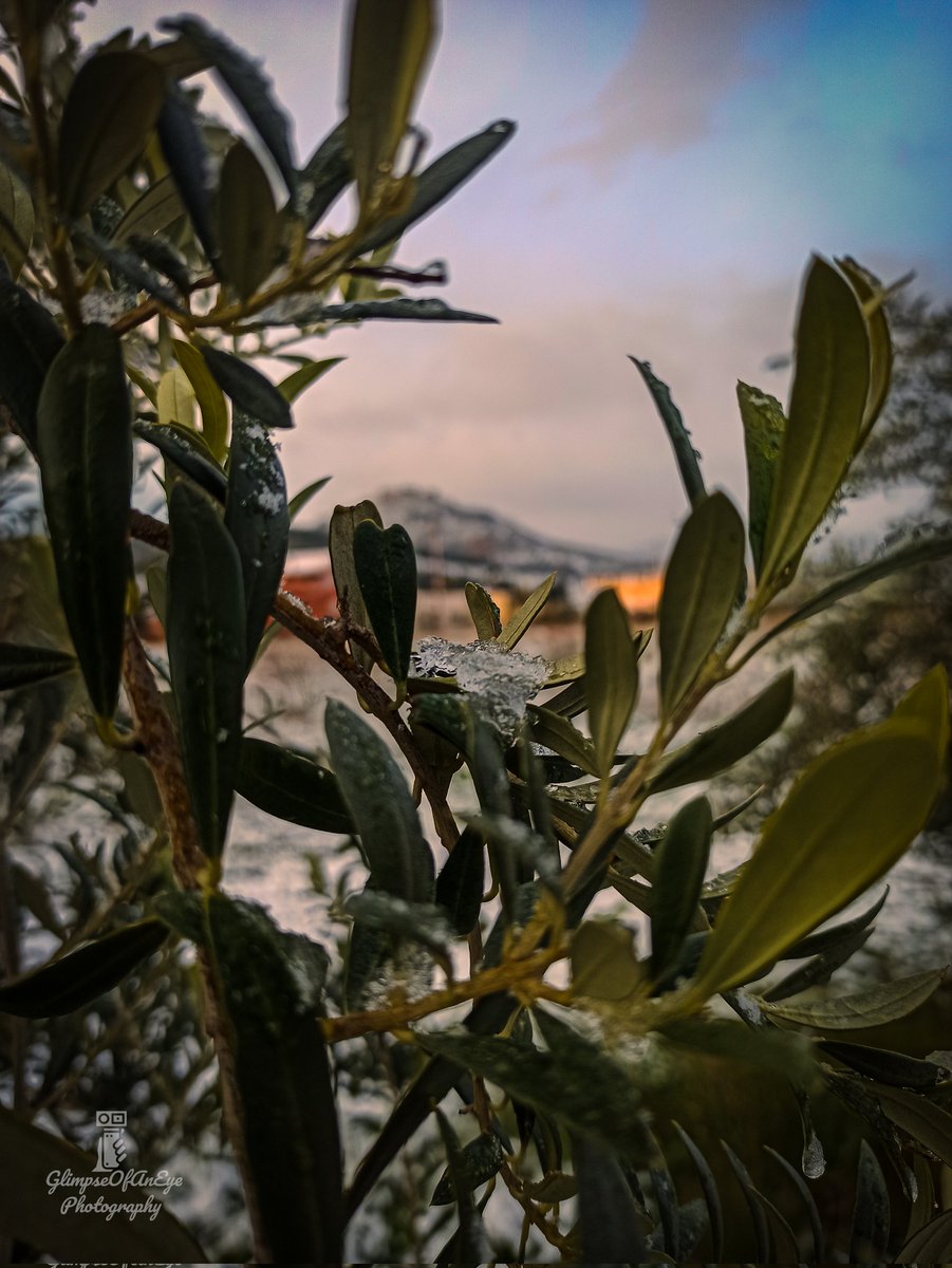Stephanos7's tweet photo. Το πέρασμα της κακοκαιρίας #ελπιδα από το Άργος ήταν σύντομο, χωρίς πολλά προβλήματα, αλλά με όμορφες εικόνες. https://t.co/H5gS5RTR4r