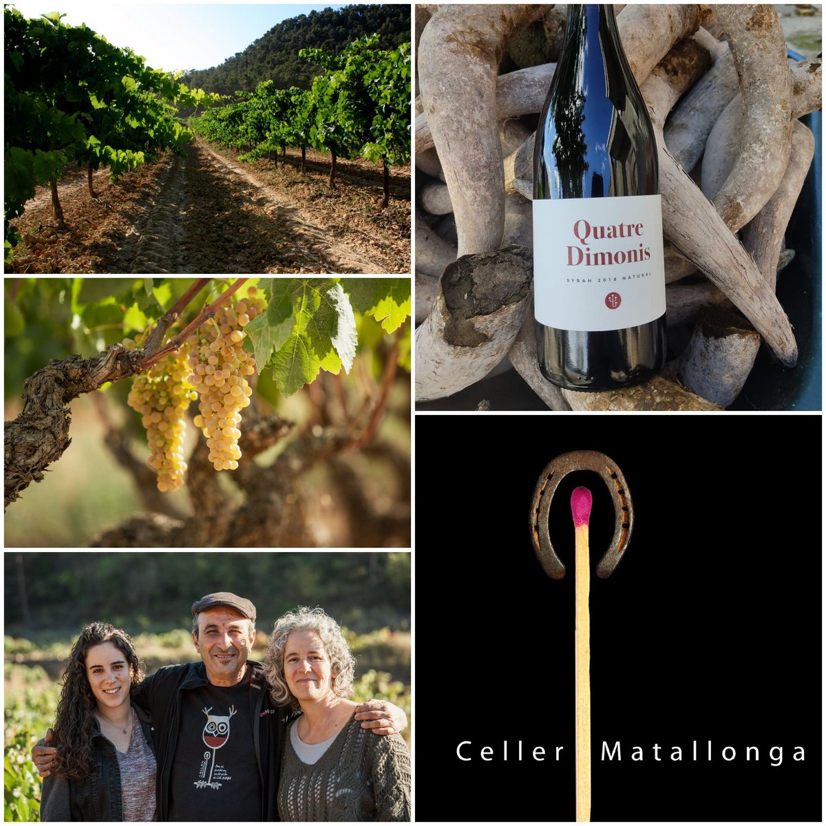 <a href="/matallonga/">Celler Matallonga</a> Pequeña bodega en Fulleda Les Garrigues
Viñas propias rodeadas de bosques  impregnan de carácter y personalidad los vinos
Agricultura ecológica y regenerativa

#artisanwineattraction #barcelonawineweek #barcelonawineweek2022 #bww2022 #bww #vino #vi #vin #wein #wine