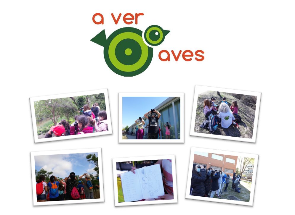 AverAves's tweet photo. 10 años y 8.000 escolares después seguimos porque consideramos la #educaciónambiental fundamental e imprescindible en el curriculum escolar
Felicidades en el #DíaMundialEducaciónAmbiental a personas y proyectos que trabajan en esta misma línea
Abramos más #AulasEnLosParques #EA26 https://t.co/SEZy4vOVNe