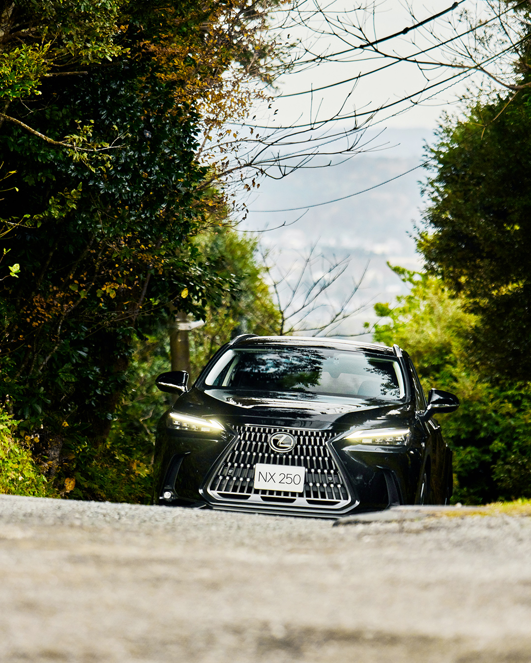 Lexus レクサス その力強さは 頂へと辿る T Co Echyy2vvhe レクサス Lexus レクサスnx T Co Hdobudf8ya Twitter
