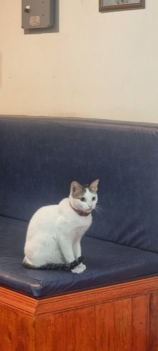 BoltsBolts's tweet photo. #Binance 
#BinanceCat https://t.co/wigExXutpo
