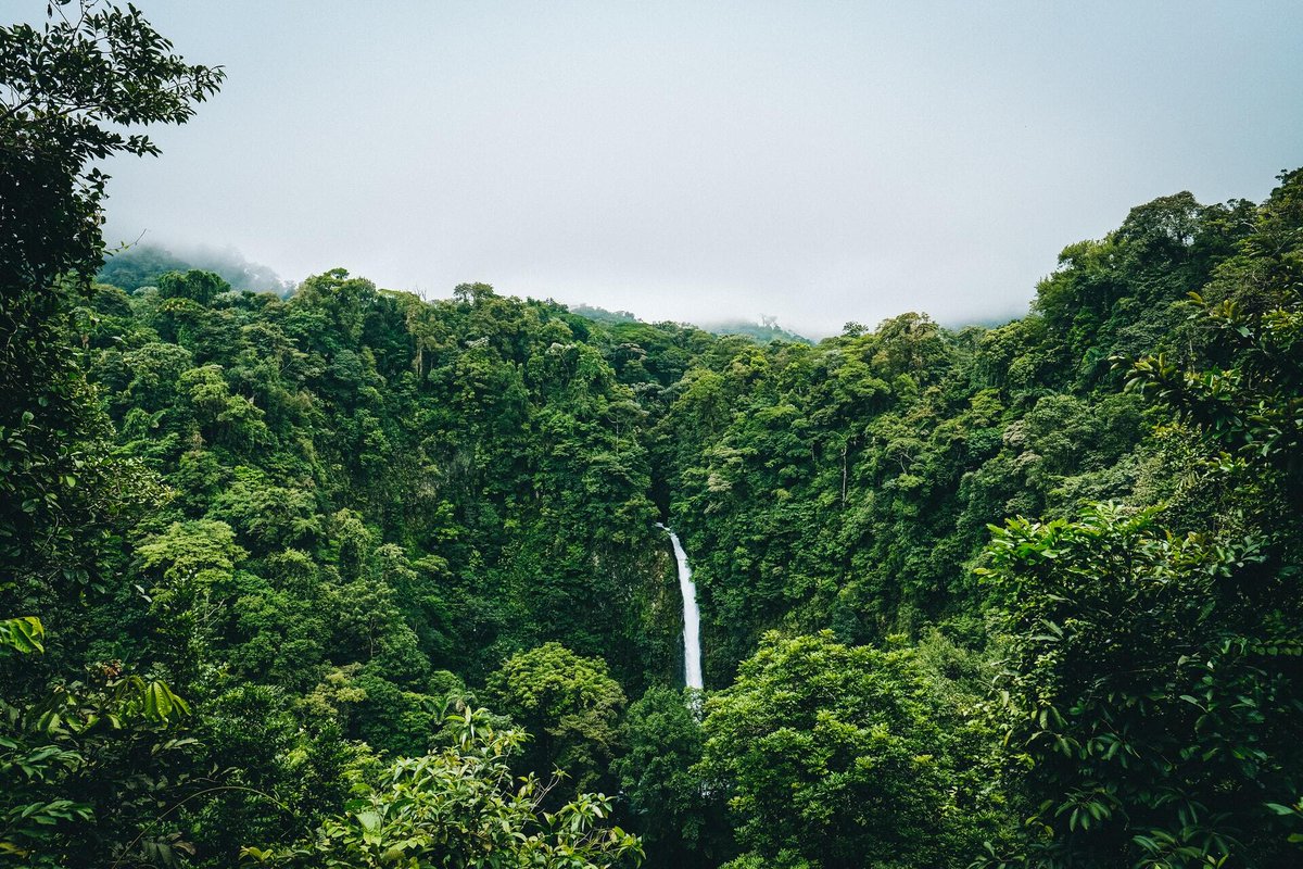 Business for Nature tweet media