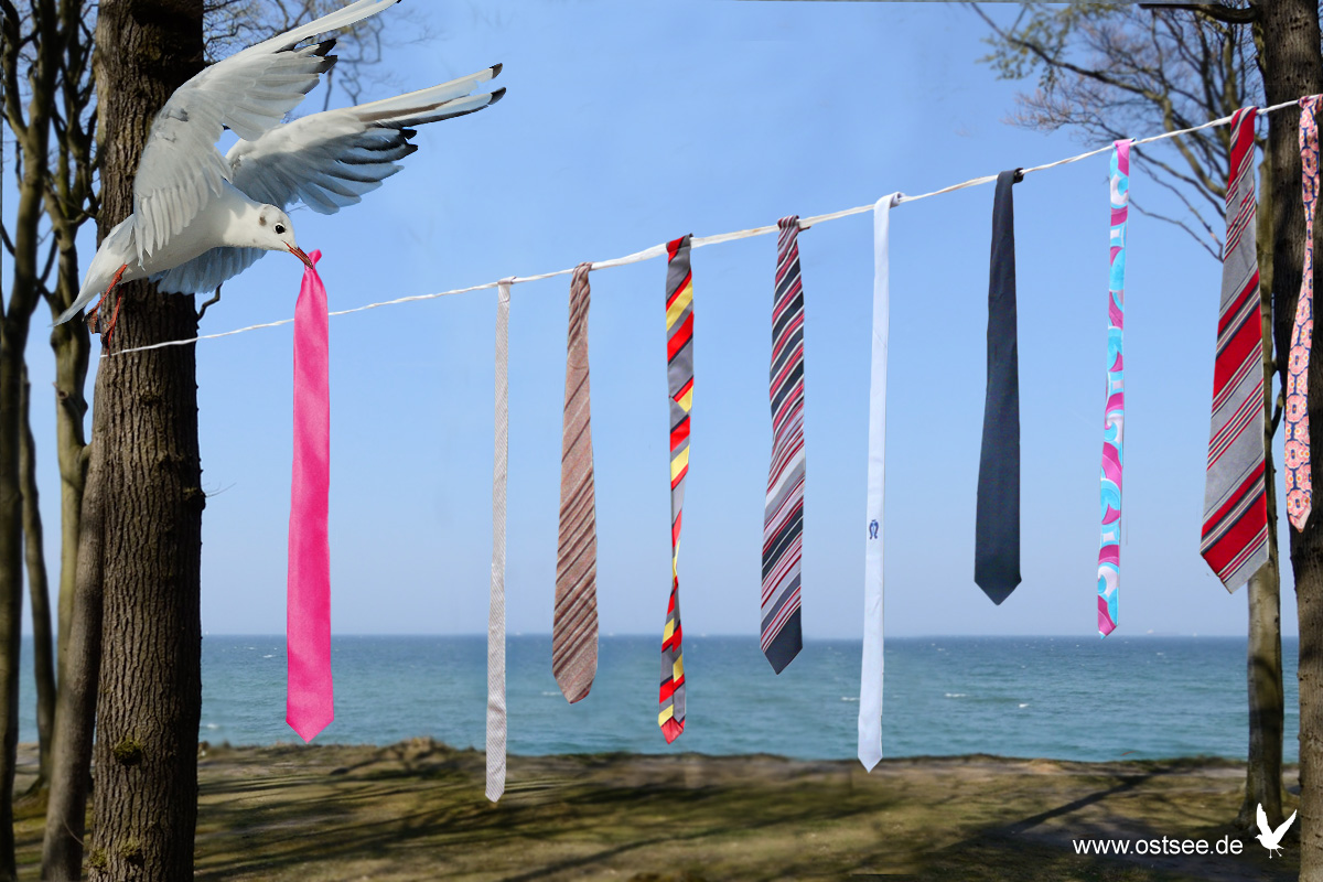 ostseeDE's tweet photo. Vorsicht liebe #Krawattenträger, heute hat es unser #Fischbrötchendieb auch auf euren #Schlips abgesehen. 🥳
~~~~~~~~~~~~~~~~~~~~~~
⚓Wir ankern auf https://t.co/rnnELTH40R
👕Ostsee-Fanshop https://t.co/fZUr2RMg8N
#MehrMeer #Ostsee #Weiberfastnacht https://t.co/XrfHrm0zqC