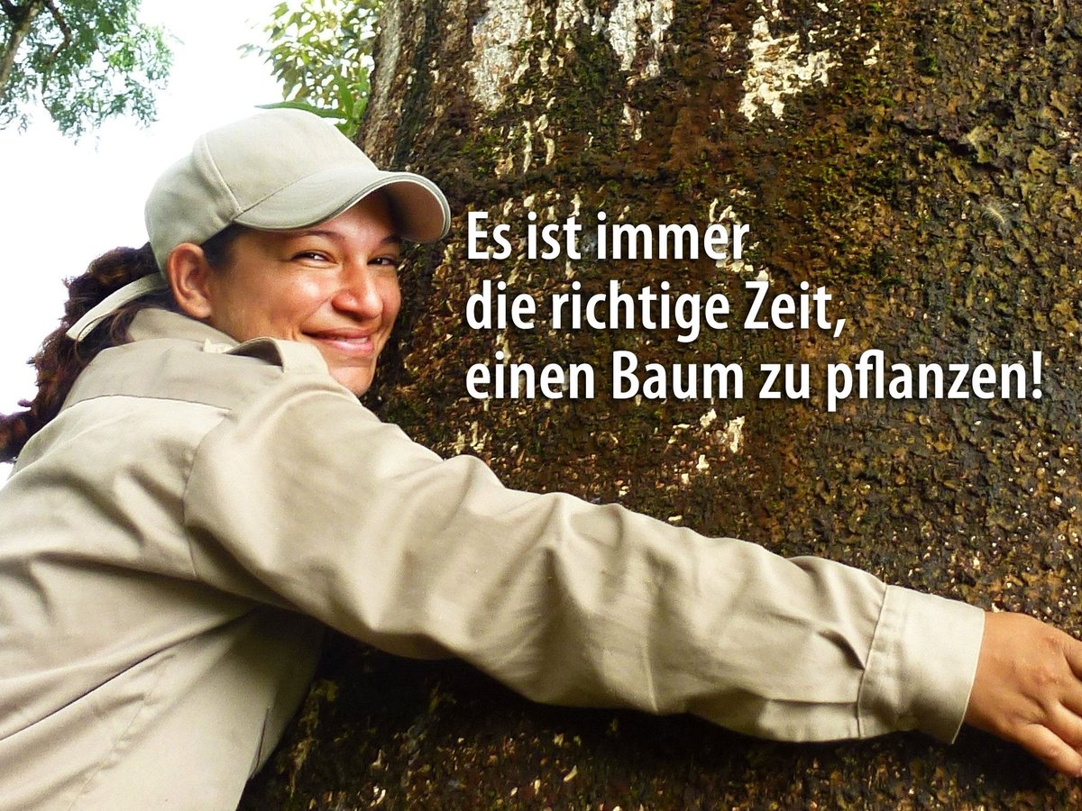 ForestFinanceDe's tweet photo. 🌳It's always the right time to plant a tree!🌴
Let's plant together:👉https://t.co/KNCJ6HpxTH
#buildingforests #wirmachenWald https://t.co/4GgCf6of4E