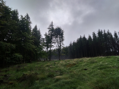 Two PhDs in forest protection and risk-based surveillance with colleagues from DAFM, <a href="/teagasc/">Teagasc</a> , <a href="/AFBI_NI/">AFBI</a>  and <a href="/coilltenews/">Coillte</a>. Funded by <a href="/agriculture_ie/">Dept of Agriculture, Food and the Marine</a> 
Details at:
ucd.ie/ecomodel/fores…
Apply by: 18th Feb
#PhD <a href="/ohanlonrichard/">Richard O Hanlon</a> <a href="/UCDSBES/">Sch. Biol. & Env. Sc</a> <a href="/UCDEarth/">UCD Earth Institute</a>