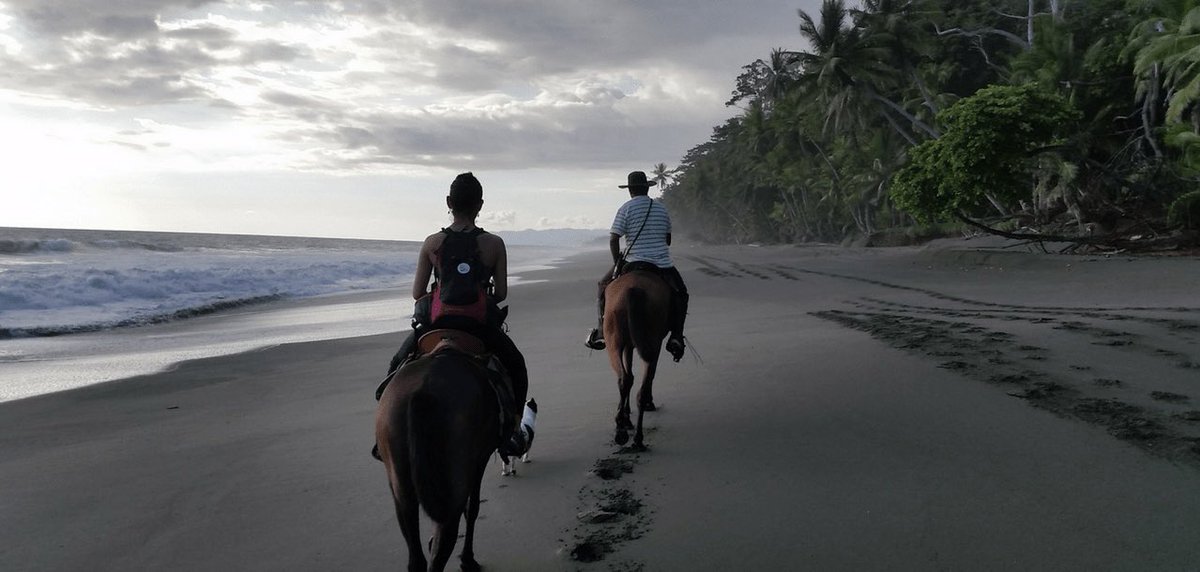 امنية حياتي اركب خيل عالبحر !…. امنيه بسيطه زي كذا ليش ماتحقق لييييييش