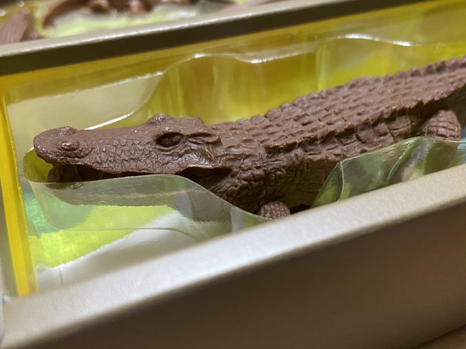 ワニさんのtwitterイラスト検索結果 ワニさんのtwitterイラスト検索結果