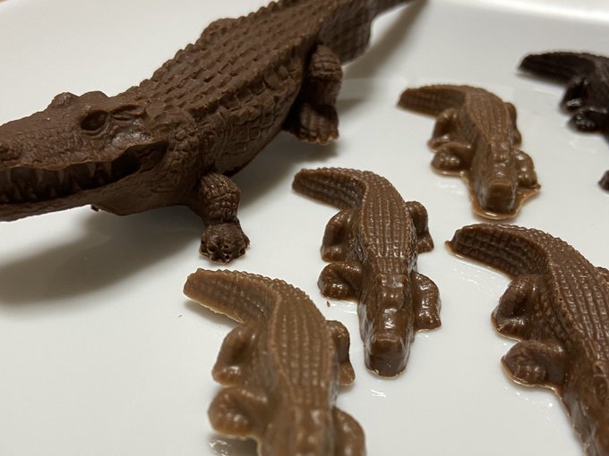 ワニさんのtwitterイラスト検索結果 ワニさんのtwitterイラスト検索結果