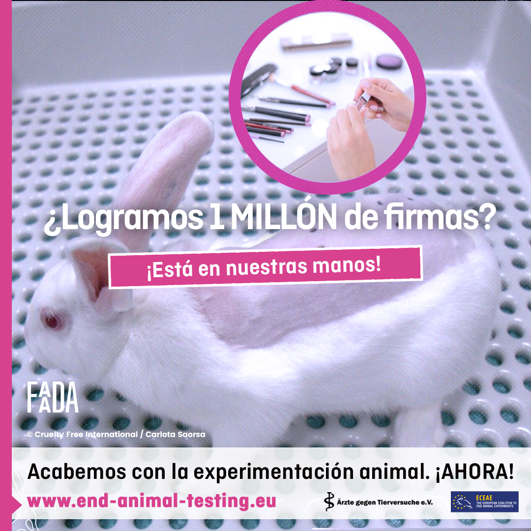 FAADAorg's tweet photo. 🔴🔬 Desde #FAADA, como miembro representante en #España de @Act4AnimalsEU, hemos decidido sumarnos a la Iniciativa Ciudadana Europea (ECI) #SaveCrueltyFreeCosmetics✊
👉Si vives en un país miembro de la UE, ¡FIRMA AHORA! https://t.co/cYGx5T0zol https://t.co/U99f8kZYoJ