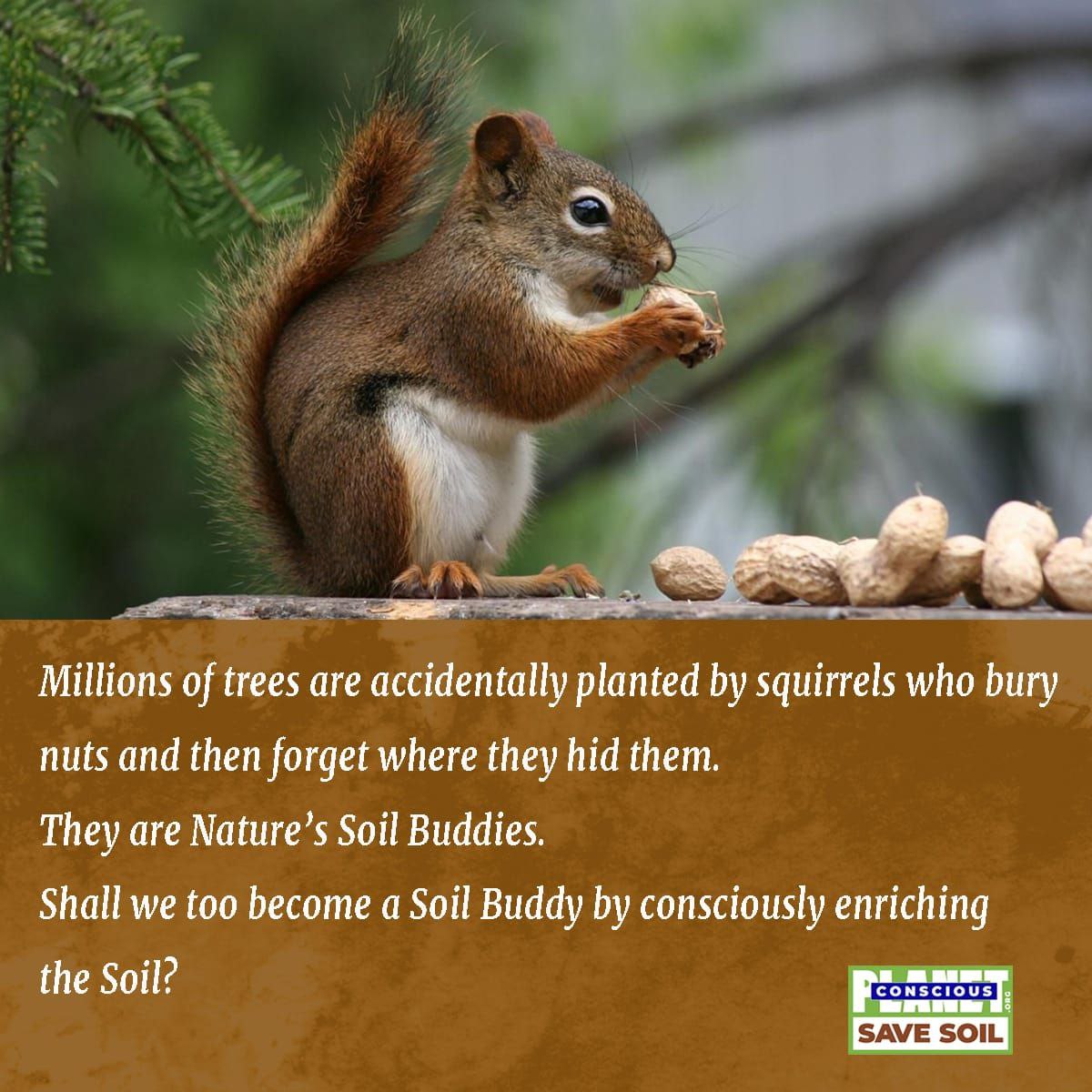 raghuram_uma's tweet photo. #ProtectOurSoil
Time to join hands for a big cause for everyone s wellbeing by saving our Soil which is the very source of life
https://t.co/AlvwQq4wjF
Open the link and register for Earth Buddy to help Save Soil and inturn Saving food for future generations https://t.co/3j1uELBL3e