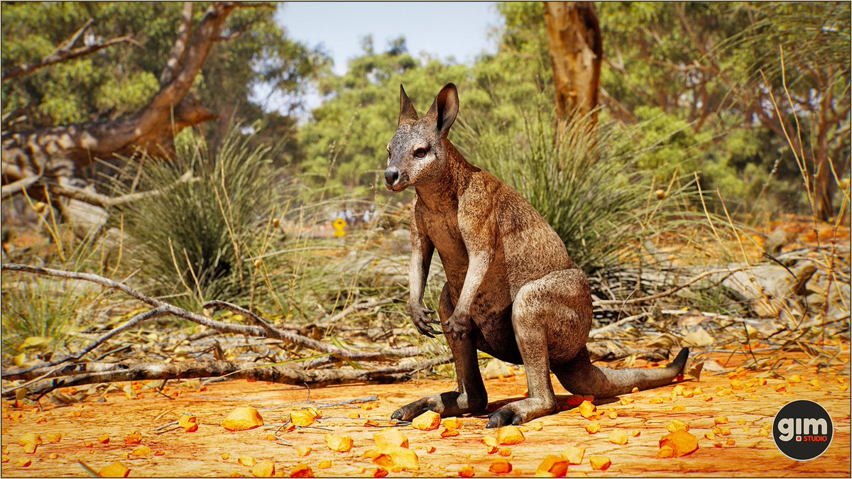GiManimations's tweet photo. #wallaby #animalia #gameart #UnrealEngine #unity3d https://t.co/0M2nVQ2Yp0