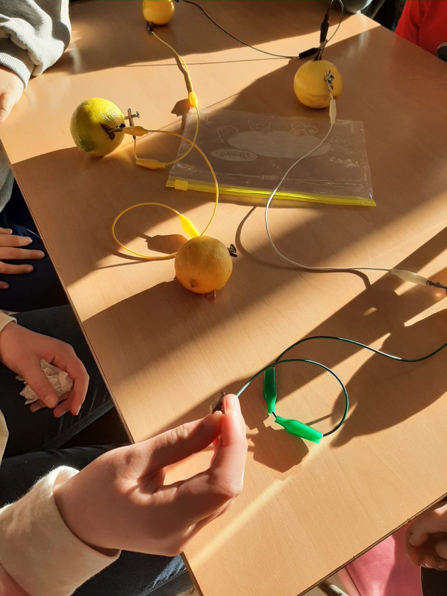 CentreEscolarEmpordà tweet media