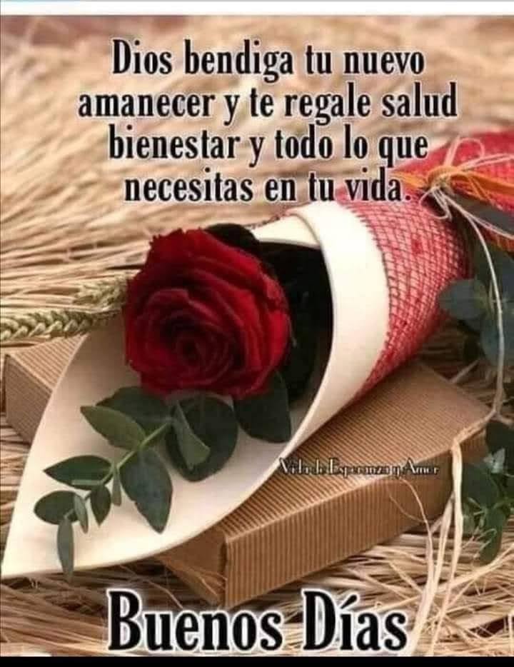 #FreeAlexSaab
#FreeAssange
<a href="/ONU_es/">Naciones Unidas</a>
<a href="/ONU_derechos/">ONU Derechos Humanos - América del Sur</a>
*Sé tan fuerte que nadie pueda herirte
Tan noble que nadie pueda ofenderte y
Tan humilde que todos quieran imitarte*T.AMO
DIOS te Bendiga
Te Abrazo y Te Beso
Muy Buenos días
Sonríe.!
🙏🏼☕💖😍🤗💞🥰
🥛🍯🥂✨🌹😘💕