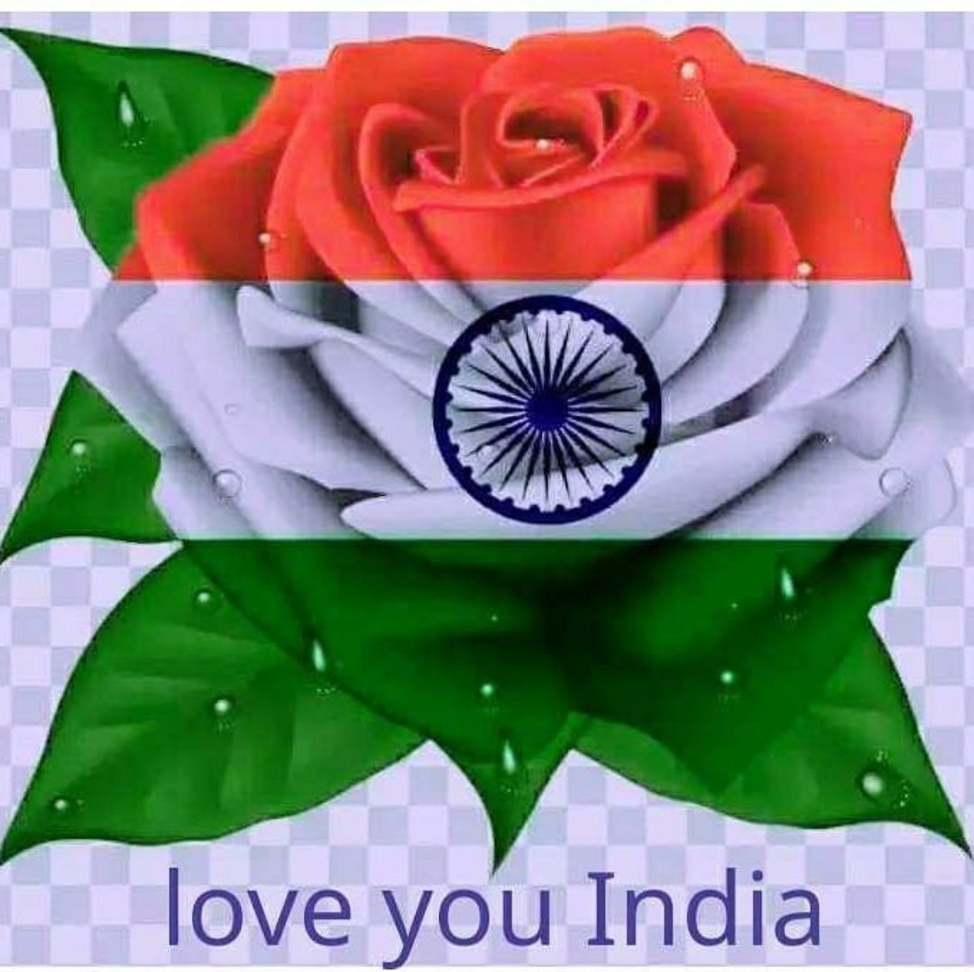 tapesh_meghwal's tweet photo. विश्व के सबसे बड़े लोकतंत्र के सबसे बड़े पर्वों में से एक गणतंत्र दिवस की हार्दिक मंगलकामनाऐं साथ ही विश्व का सबसे बड़ा लिखित संविधान तैयार करके राष्ट्र को समर्पित करने वाले बाबा साहब डॉ अम्बेडकर जी को शत शत नमन वंदन
#जयभीम_जयसंविधान #जय_भीम_जय_भारत
#Repulbicday
#गणतंत्रदिवस https://t.co/GUA0FYflXl