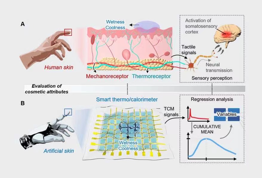 According to AmorePacific's website, the cosmetics company has developed a tactile sensor that can measure skin #sensations for the first time in the world. With this sensor, #cosmetics with more precise control of the feeling of use can be developed. #amorepacific