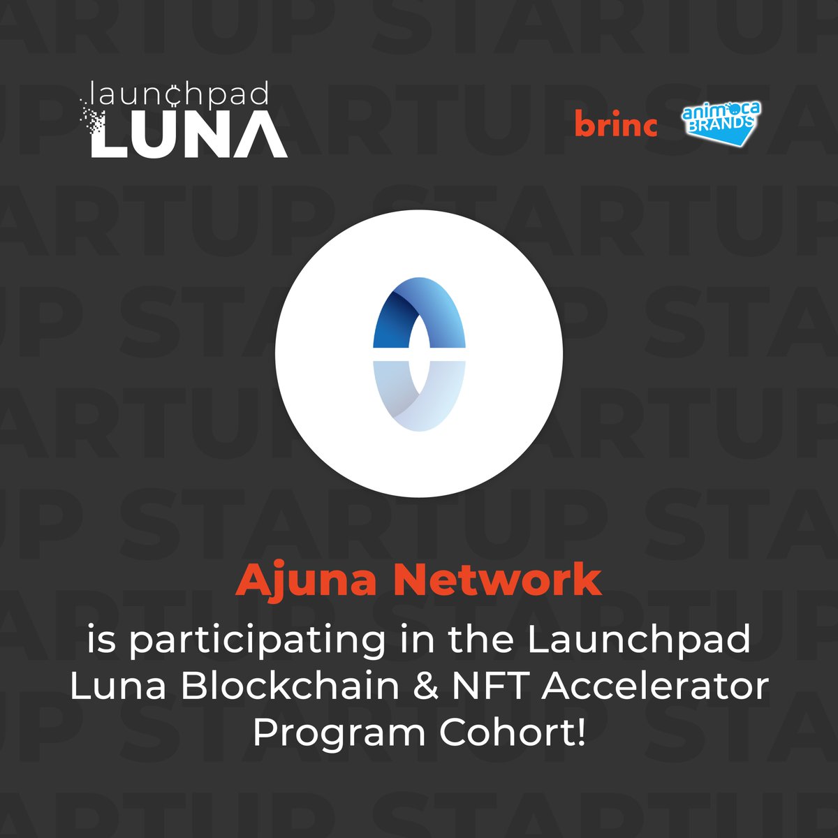 We are excited to be joining @Launchpadluna, a blockchain and NFT accelerator program run by @brinciot and <a href="/animocabrands/">Animoca Brands</a>. The initiative provides funding &amp; mentorship to firms shaping the future of #web3. We are proud to be on board. #AjunaNetwork #decentralizedgaming #Animoca