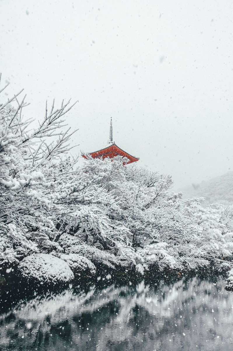tm_9729's tweet photo. 赤色が映える雪の日の清水寺。 https://t.co/pBlhIiZcFp